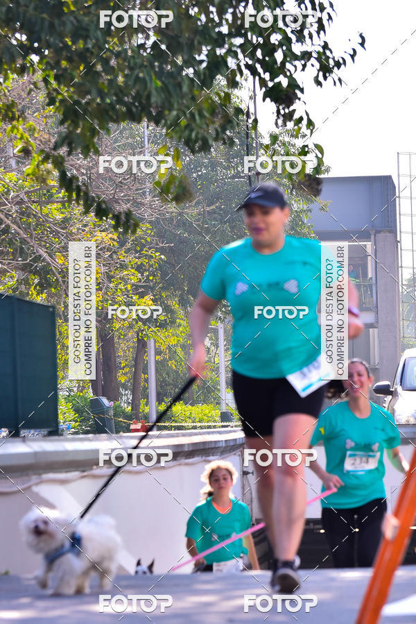Buy your photos of the event2 Pet Run Shopping Eldorado  on Fotop