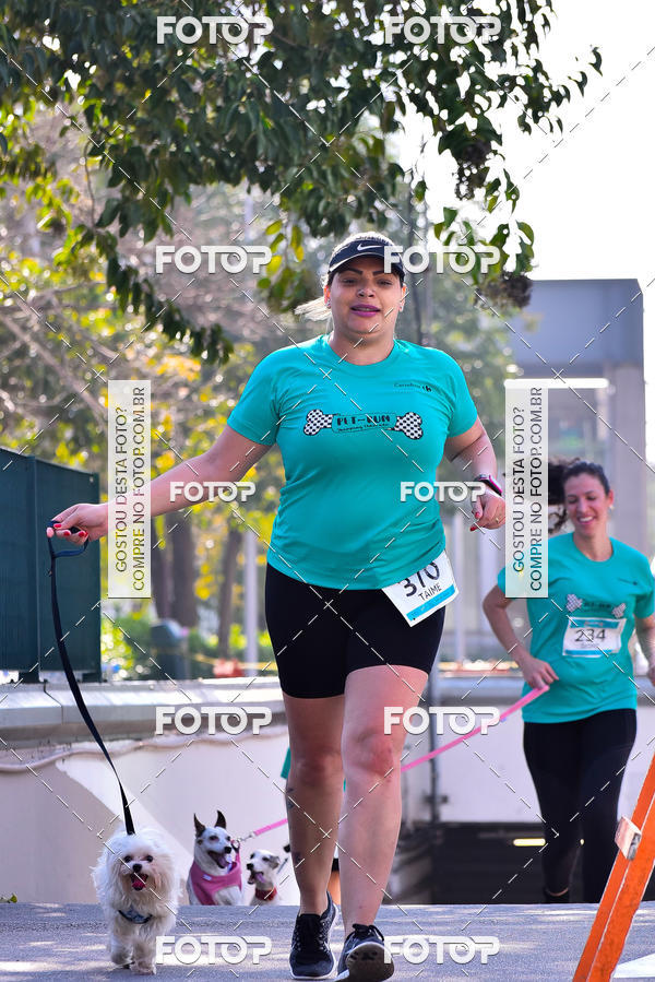 Buy your photos of the event2 Pet Run Shopping Eldorado  on Fotop