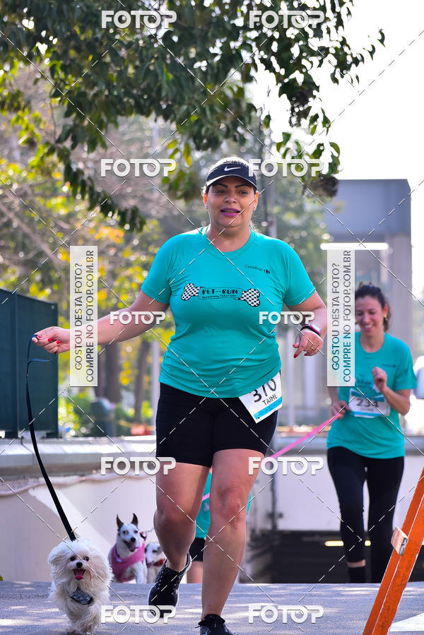 Buy your photos of the event2 Pet Run Shopping Eldorado  on Fotop
