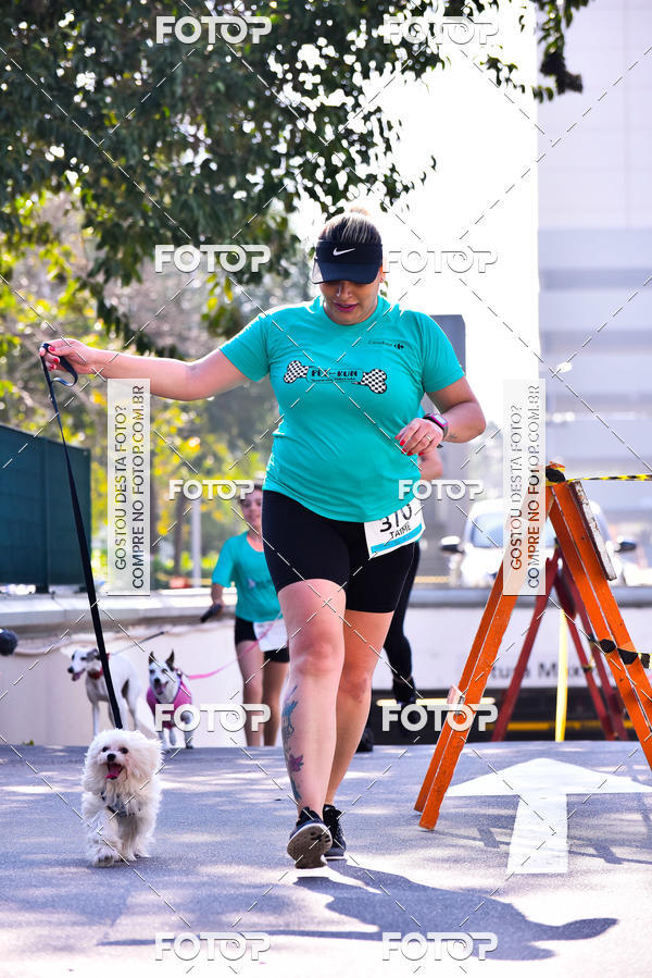Buy your photos of the event2 Pet Run Shopping Eldorado  on Fotop