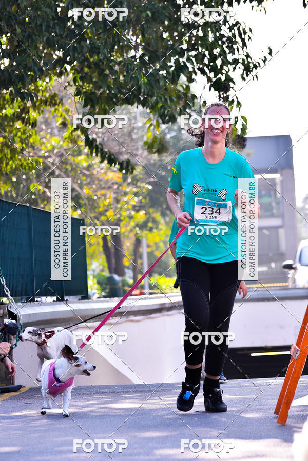 Buy your photos of the event2 Pet Run Shopping Eldorado  on Fotop