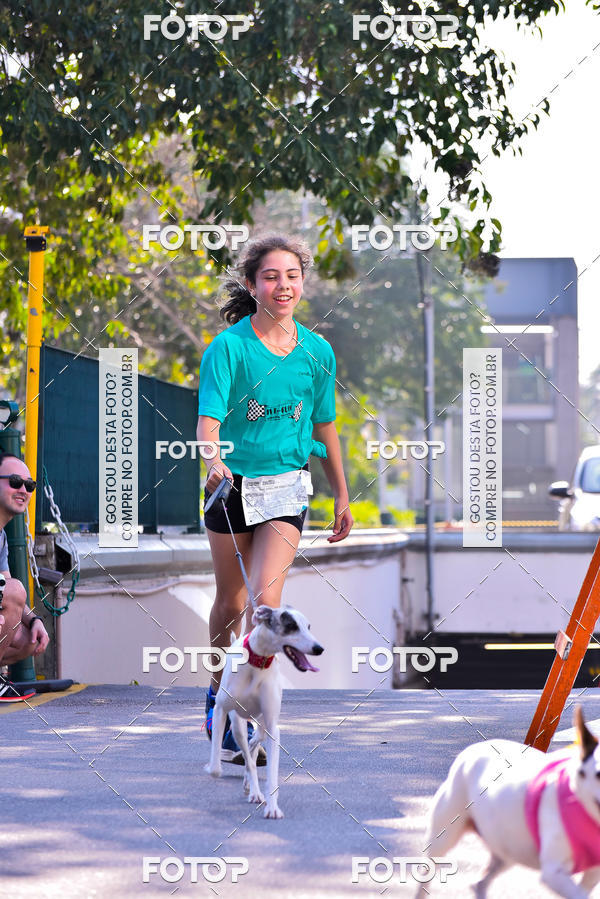 Buy your photos of the event2 Pet Run Shopping Eldorado  on Fotop