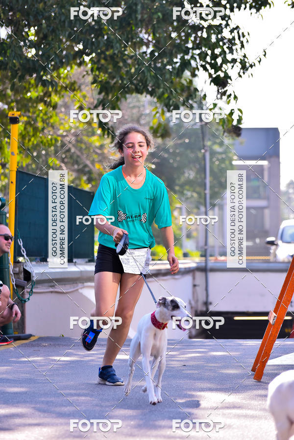Buy your photos of the event2 Pet Run Shopping Eldorado  on Fotop