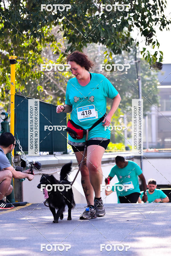 Buy your photos of the event2 Pet Run Shopping Eldorado  on Fotop