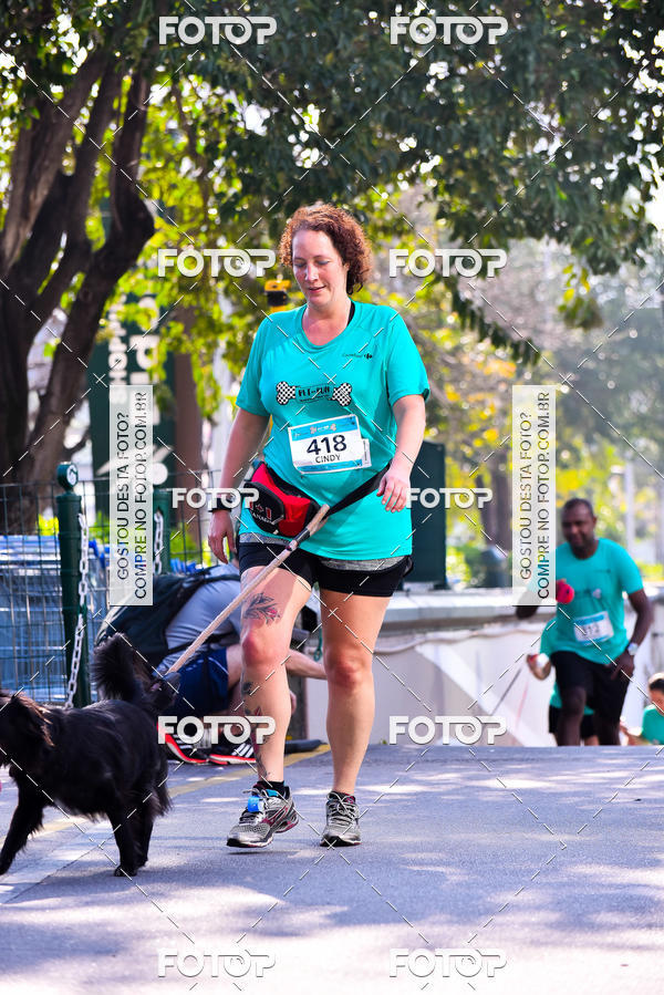 Buy your photos of the event2 Pet Run Shopping Eldorado  on Fotop
