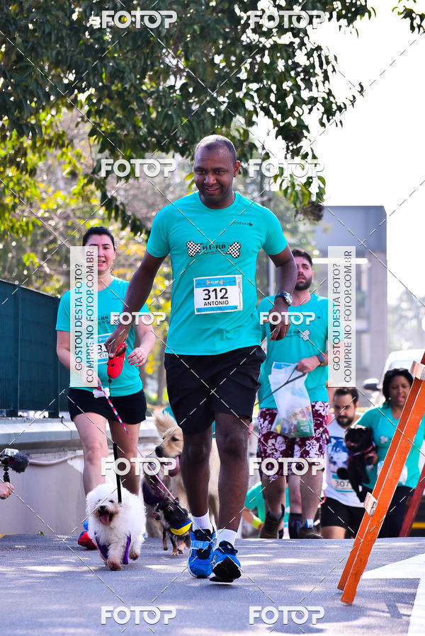Buy your photos of the event2 Pet Run Shopping Eldorado  on Fotop