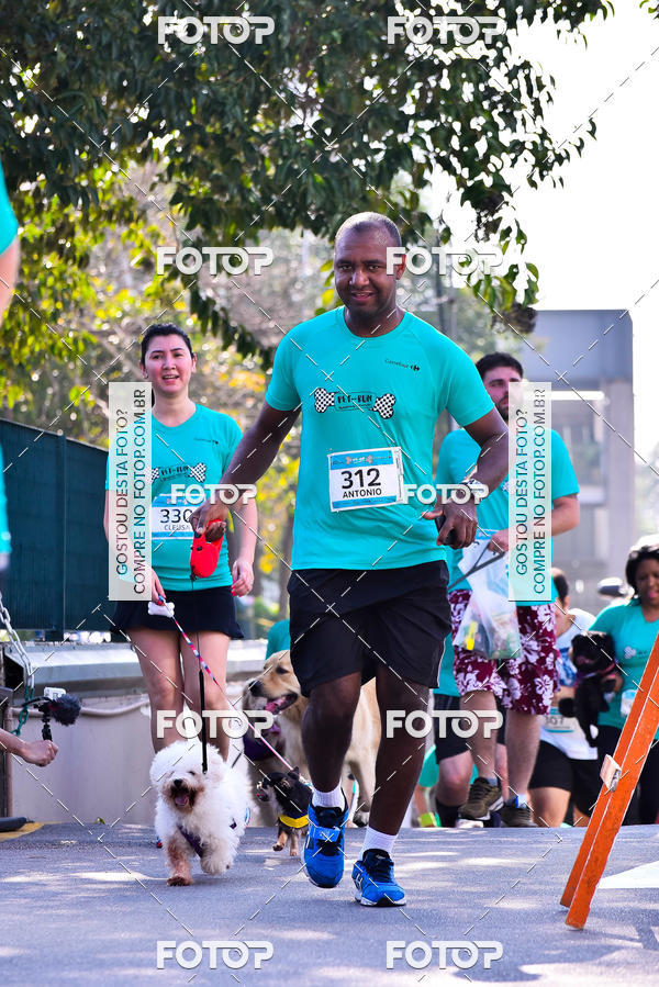 Buy your photos of the event2 Pet Run Shopping Eldorado  on Fotop