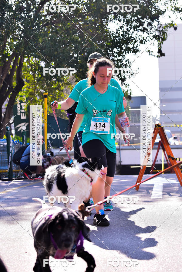 Buy your photos of the event2 Pet Run Shopping Eldorado  on Fotop