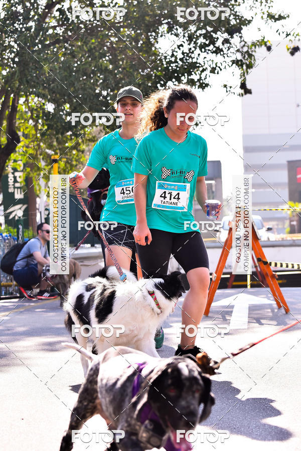 Buy your photos of the event2 Pet Run Shopping Eldorado  on Fotop