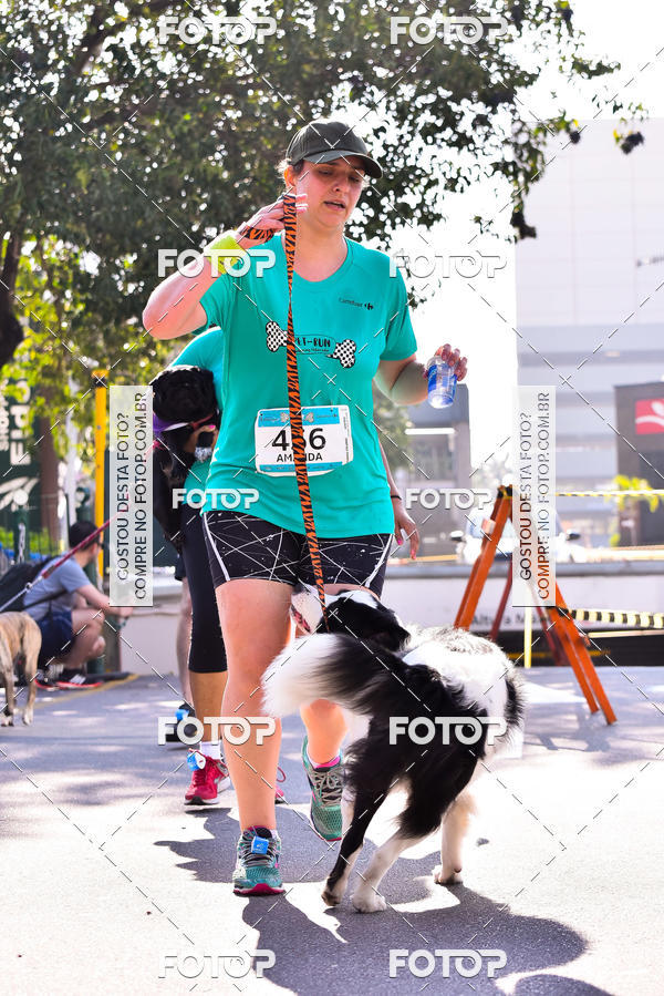 Buy your photos of the event2 Pet Run Shopping Eldorado  on Fotop
