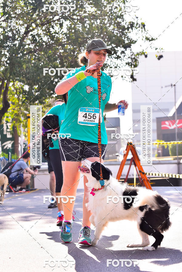 Buy your photos of the event2 Pet Run Shopping Eldorado  on Fotop