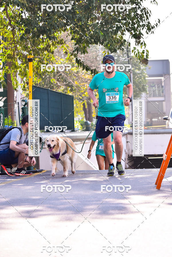 Buy your photos of the event2 Pet Run Shopping Eldorado  on Fotop