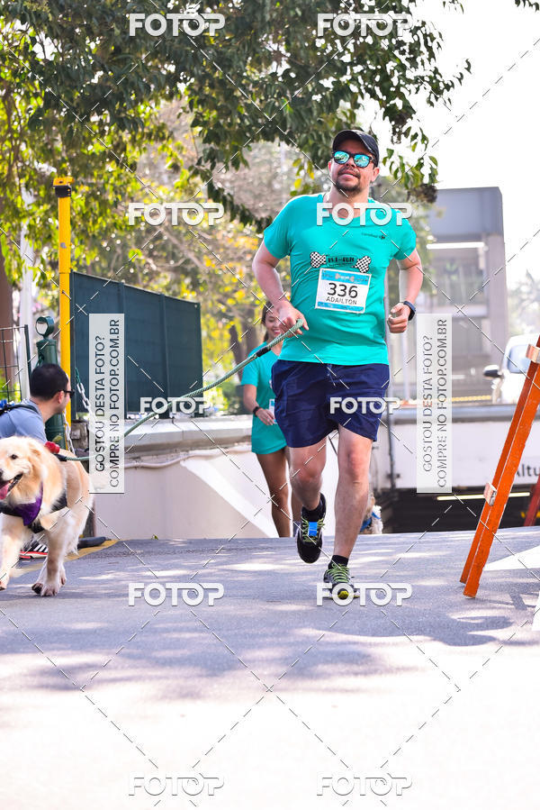 Buy your photos of the event2 Pet Run Shopping Eldorado  on Fotop