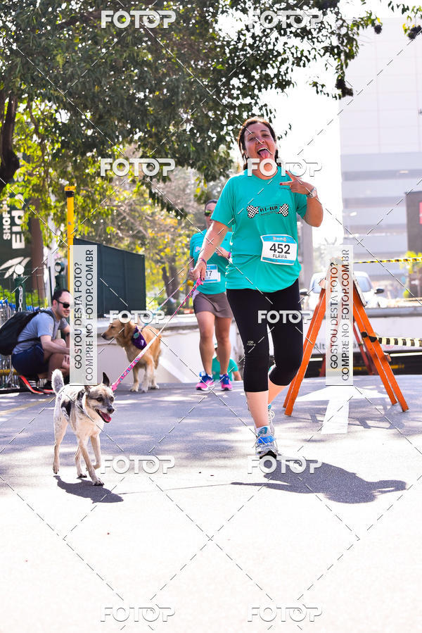 Buy your photos of the event2 Pet Run Shopping Eldorado  on Fotop