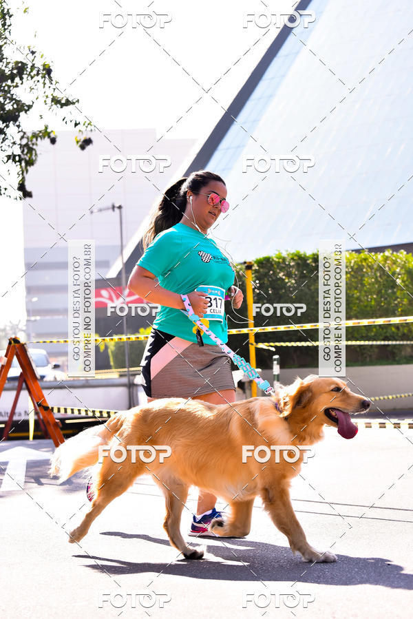 Buy your photos of the event2 Pet Run Shopping Eldorado  on Fotop