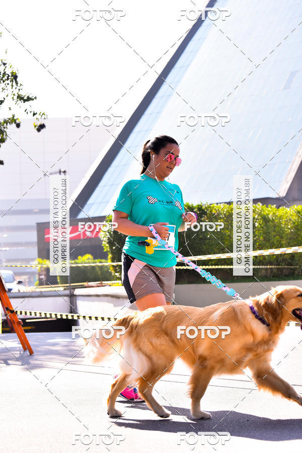 Buy your photos of the event2 Pet Run Shopping Eldorado  on Fotop