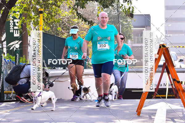Buy your photos of the event2 Pet Run Shopping Eldorado  on Fotop