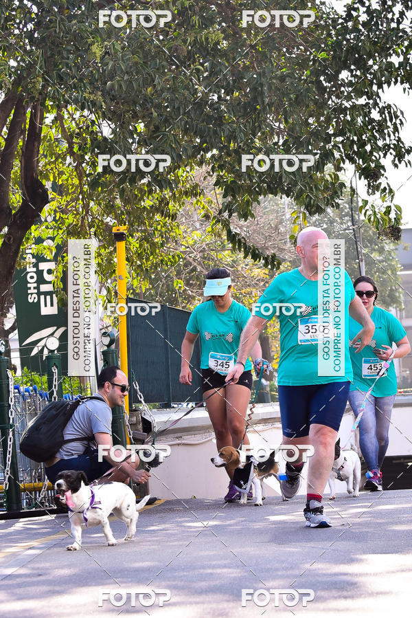 Buy your photos of the event2 Pet Run Shopping Eldorado  on Fotop