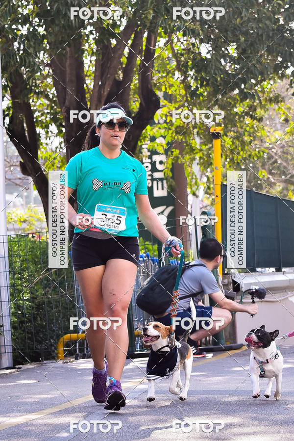 Buy your photos of the event2 Pet Run Shopping Eldorado  on Fotop