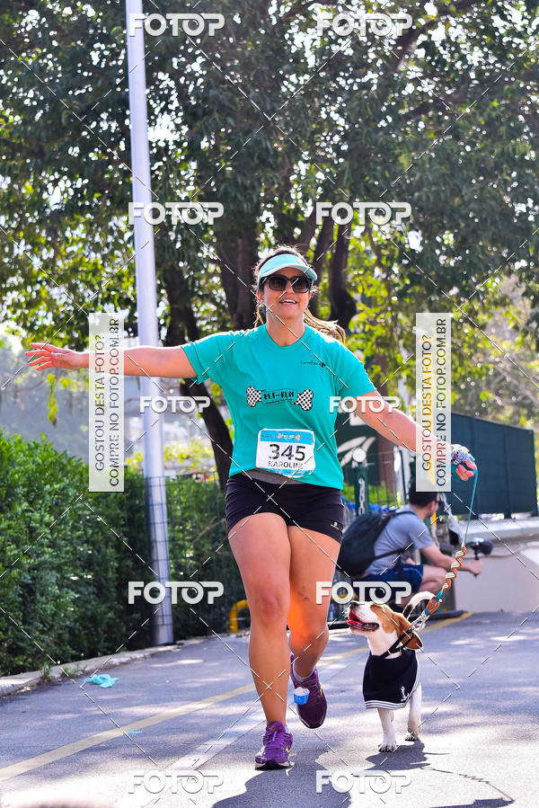 Buy your photos of the event2 Pet Run Shopping Eldorado  on Fotop