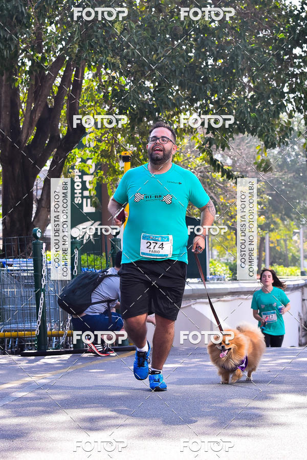 Buy your photos of the event2 Pet Run Shopping Eldorado  on Fotop