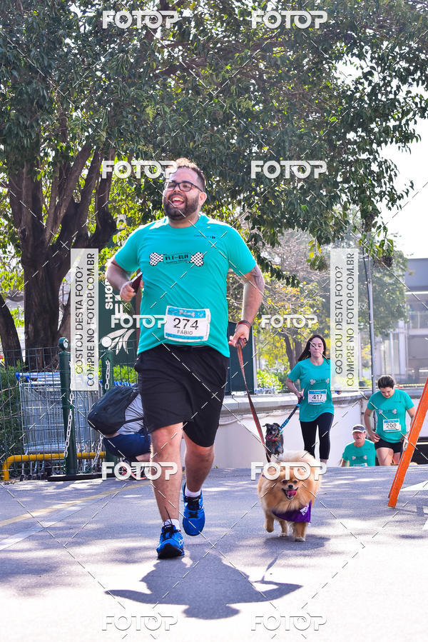 Buy your photos of the event2 Pet Run Shopping Eldorado  on Fotop