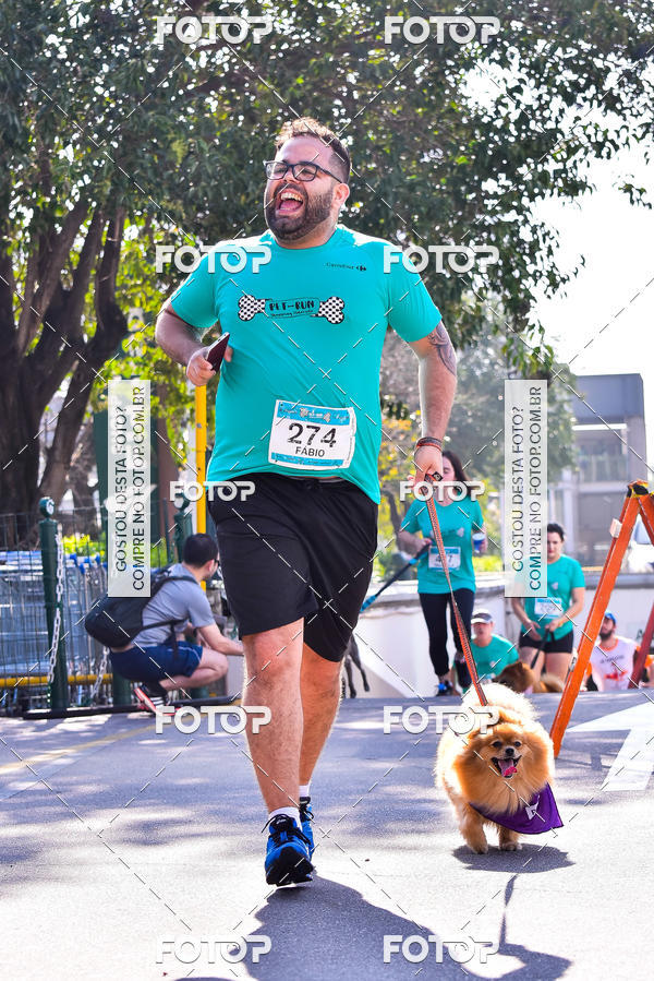 Buy your photos of the event2 Pet Run Shopping Eldorado  on Fotop