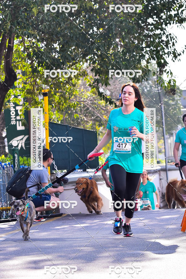 Buy your photos of the event2 Pet Run Shopping Eldorado  on Fotop