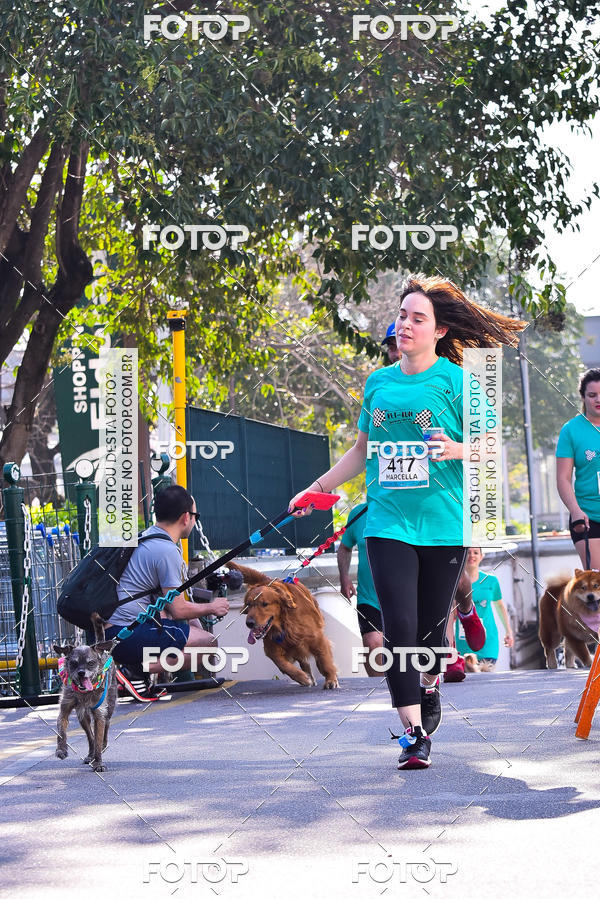 Buy your photos of the event2 Pet Run Shopping Eldorado  on Fotop