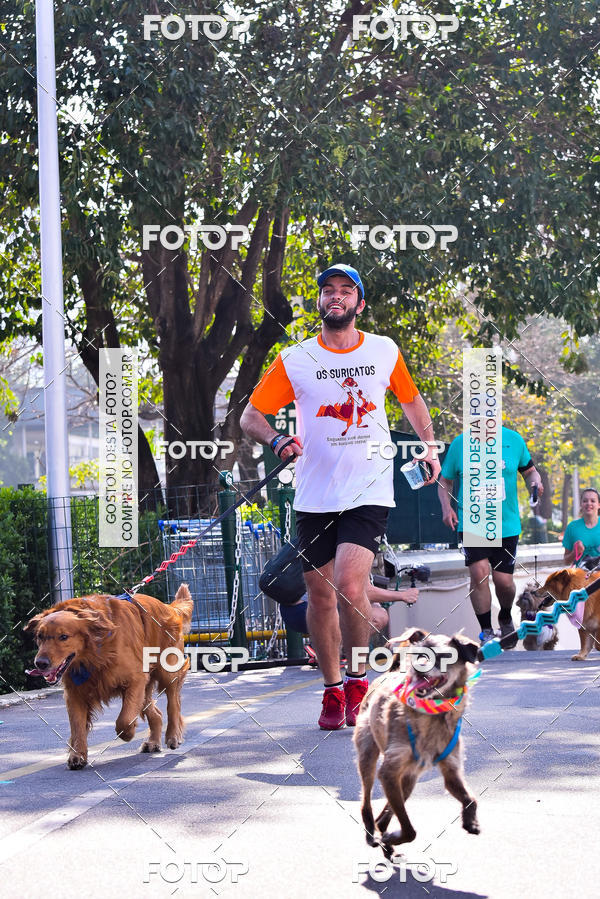 Buy your photos of the event2 Pet Run Shopping Eldorado  on Fotop