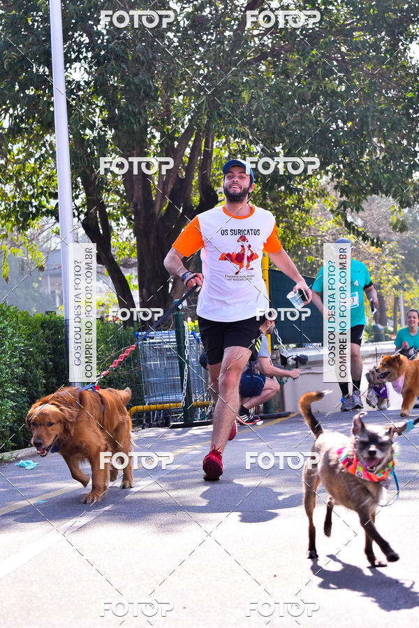 Buy your photos of the event2 Pet Run Shopping Eldorado  on Fotop