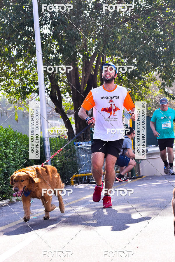 Buy your photos of the event2 Pet Run Shopping Eldorado  on Fotop