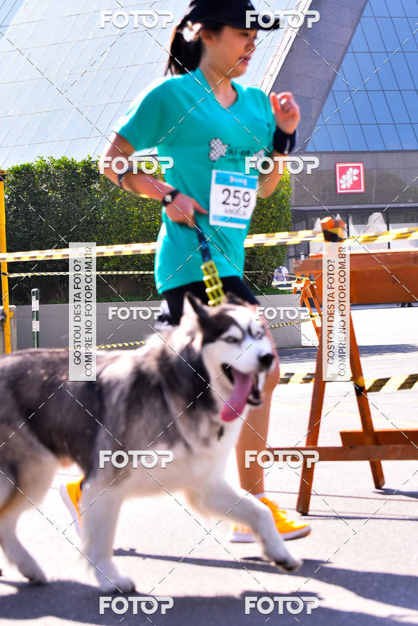 Buy your photos of the event2 Pet Run Shopping Eldorado  on Fotop