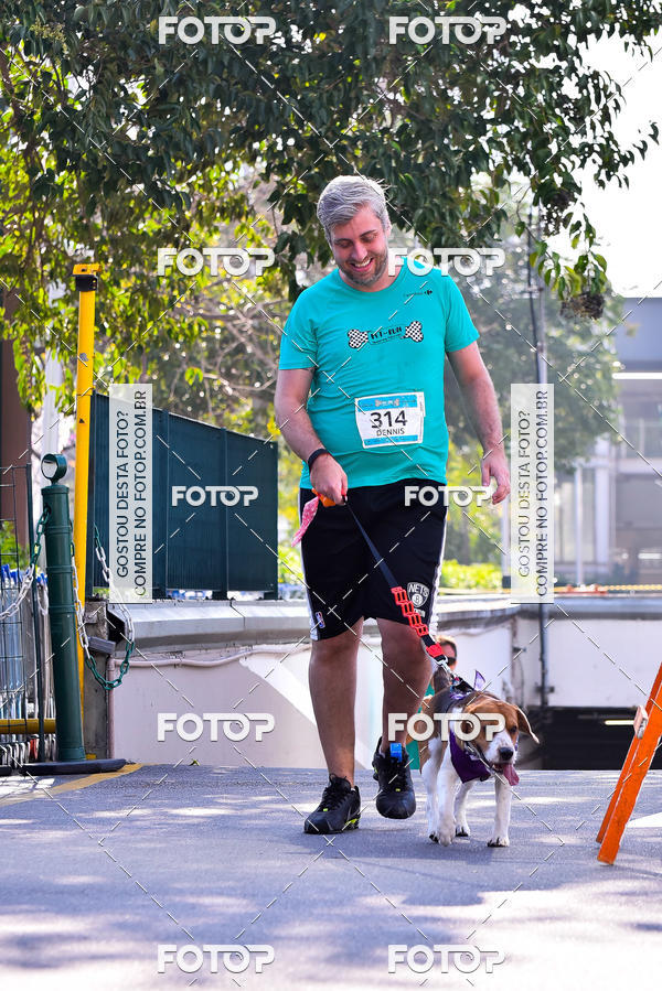 Buy your photos of the event2 Pet Run Shopping Eldorado  on Fotop