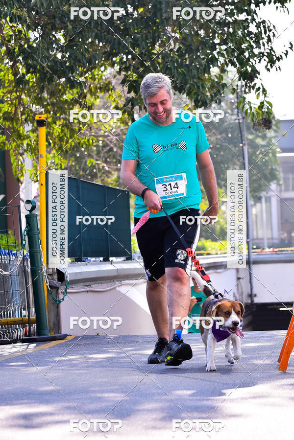 Buy your photos of the event2 Pet Run Shopping Eldorado  on Fotop