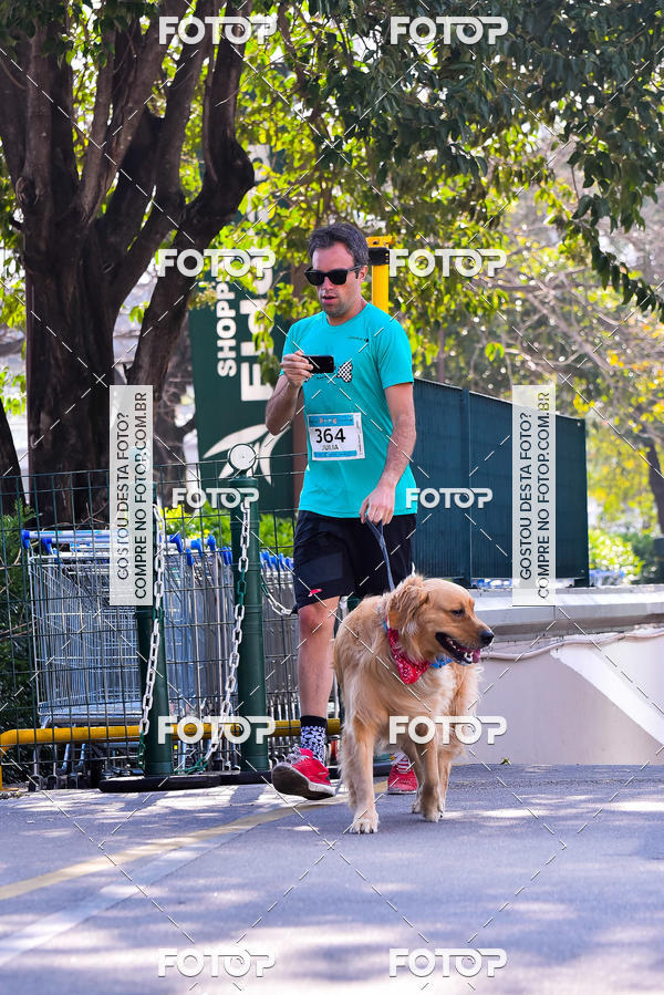 Buy your photos of the event2 Pet Run Shopping Eldorado  on Fotop
