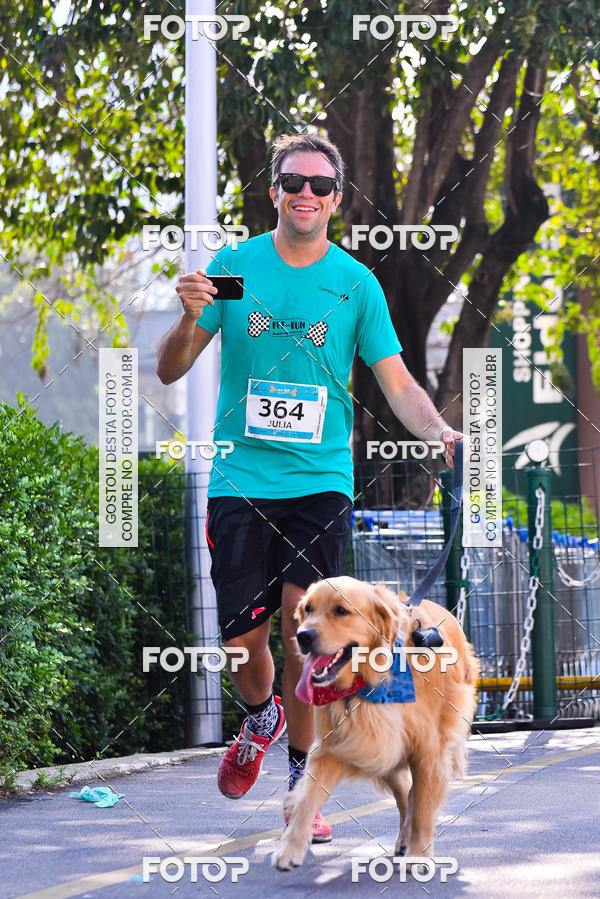 Buy your photos of the event2 Pet Run Shopping Eldorado  on Fotop
