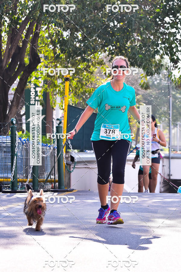 Buy your photos of the event2 Pet Run Shopping Eldorado  on Fotop
