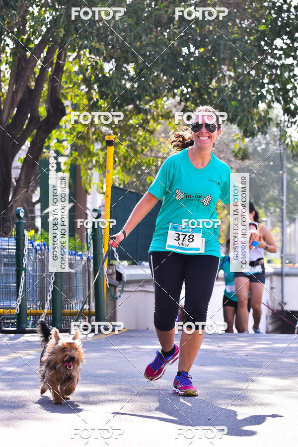 Buy your photos of the event2 Pet Run Shopping Eldorado  on Fotop