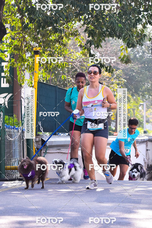 Buy your photos of the event2 Pet Run Shopping Eldorado  on Fotop