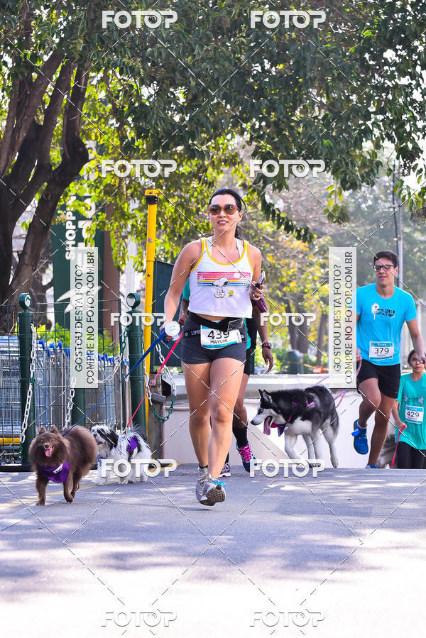 Buy your photos of the event2 Pet Run Shopping Eldorado  on Fotop