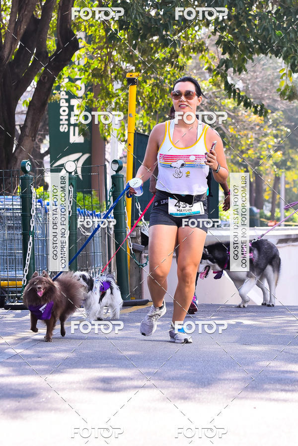 Buy your photos of the event2 Pet Run Shopping Eldorado  on Fotop