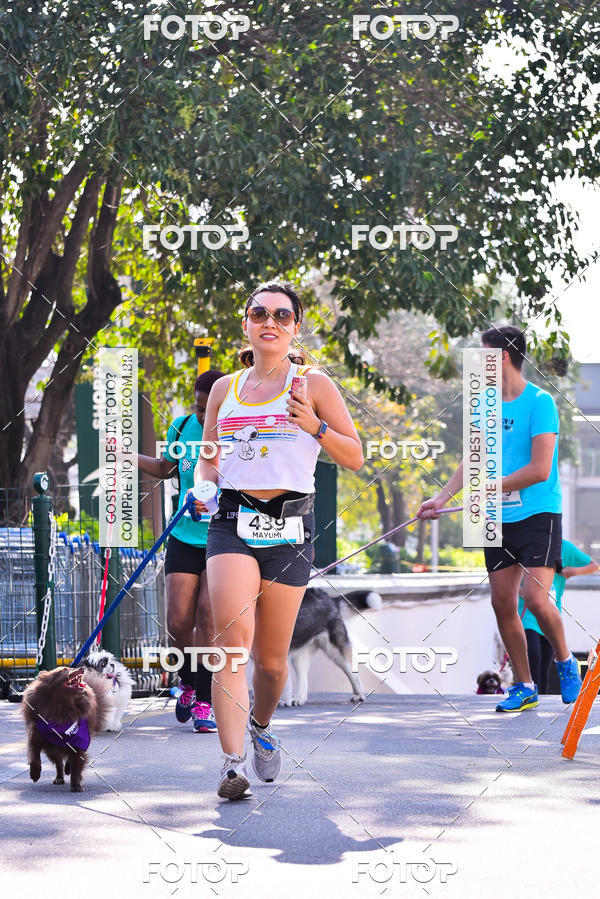 Buy your photos of the event2 Pet Run Shopping Eldorado  on Fotop