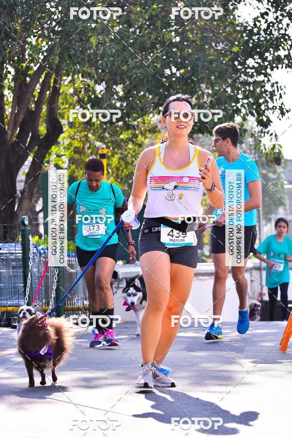 Buy your photos of the event2 Pet Run Shopping Eldorado  on Fotop