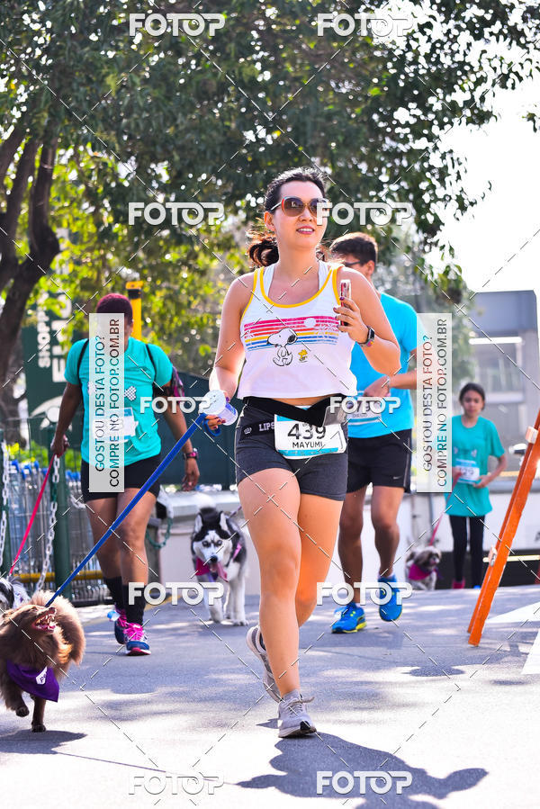 Buy your photos of the event2 Pet Run Shopping Eldorado  on Fotop