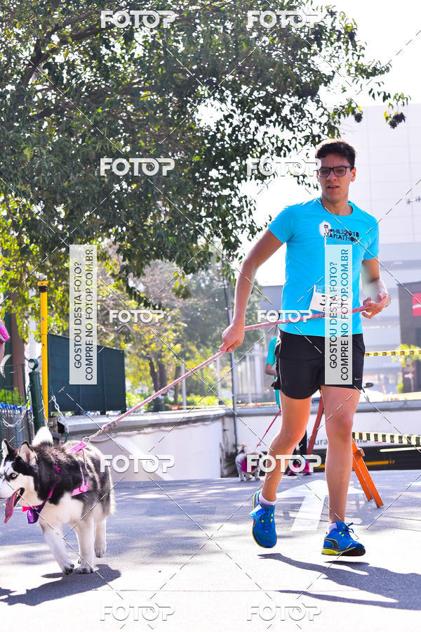 Buy your photos of the event2 Pet Run Shopping Eldorado  on Fotop
