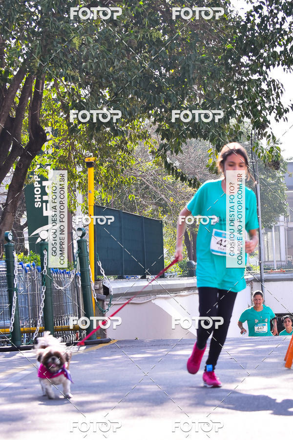 Buy your photos of the event2 Pet Run Shopping Eldorado  on Fotop
