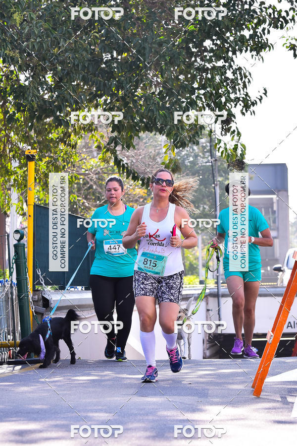 Buy your photos of the event2 Pet Run Shopping Eldorado  on Fotop