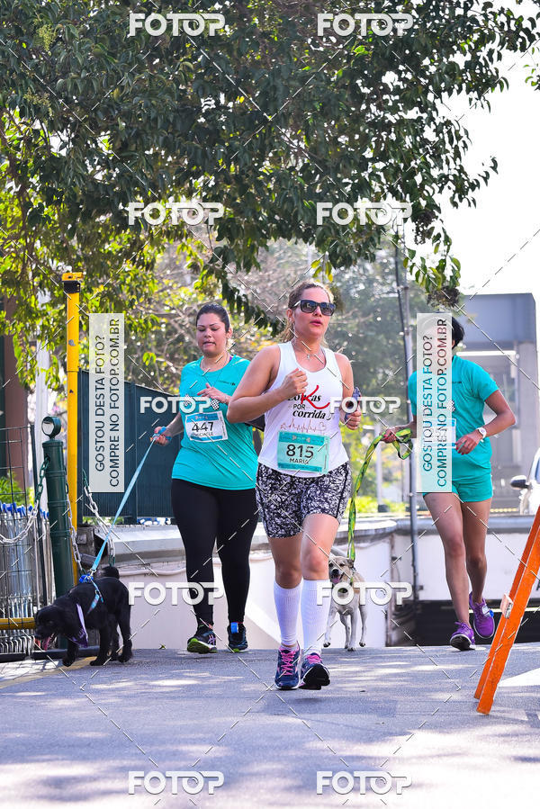Buy your photos of the event2 Pet Run Shopping Eldorado  on Fotop