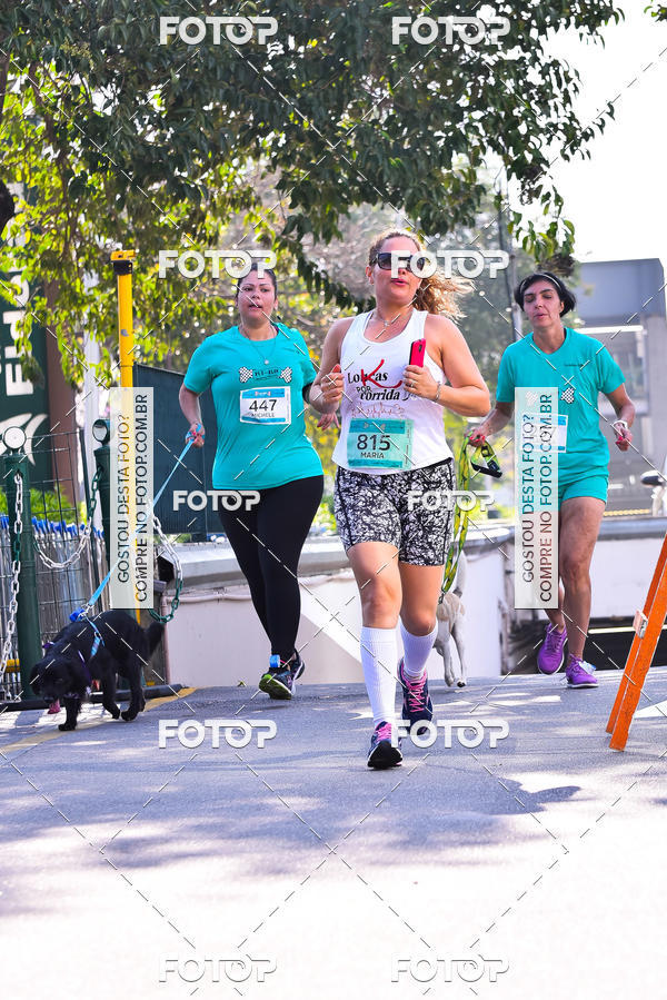 Buy your photos of the event2 Pet Run Shopping Eldorado  on Fotop